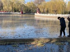 -丰台花园