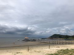 -汕尾风车岛