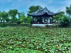 -无锡蠡湖国家湿地公园-蠡园