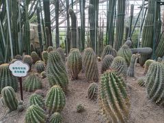 -南山植物园