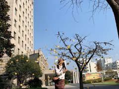 -中共上海市委党校 上海行政学院