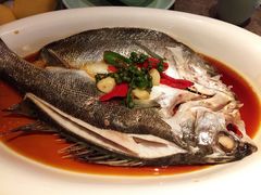 花椒鲈鱼-绿茶餐厅(崇文门新世界店)