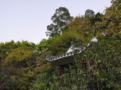 -深圳国际园林花卉博览园