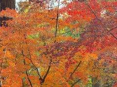 -狼山风景名胜区