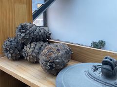 -四姑娘山阿巴郎·藏式花园餐厅