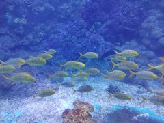 -海合安青岛极地海洋公园