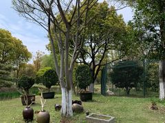 -山水间小院
