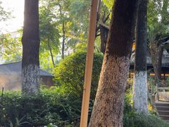 -大妙火锅·非物质文化遗产(东湖公园店)