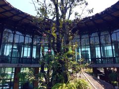 -The Ring Pavilion 魔幻森林