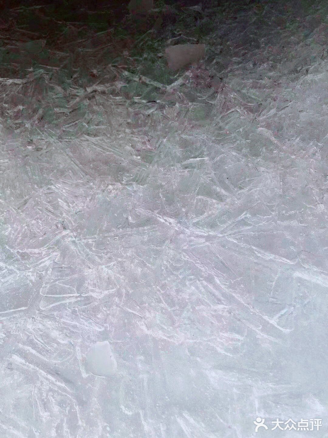 拍照玩耍，赏景，放松心情迎接牛年的到来