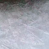 拍照玩耍，赏景，放松心情迎接牛年的到来