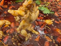 -老表牌·蛙蛙鸡冷锅鱼(成都东站店)