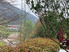-楠柏弯休闲山庄(梨花溪店)