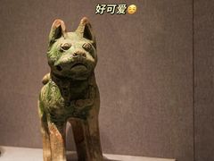 -河南自然博物馆