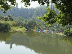 -大湾区中央湿地公园