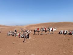 -银肯塔拉沙漠生态旅游景区