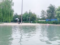-柳浪游泳场