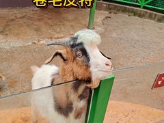 -杭州野生动物世界