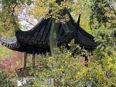-拙政园