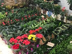 -秦美花卉(天朗·莱茵小城2期店)