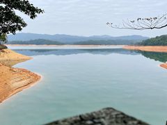 -广州市流溪河国家森林公园