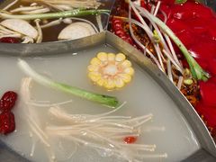 -辣伍鲜毛肚老火锅(元一店)