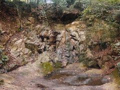 -上海佘山国家森林公园天马山园