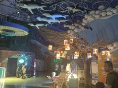 -烟台海昌鲸鲨海洋公园