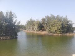 -五里桥文化公园-西侧停车场