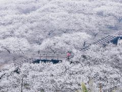 -原乡小镇度假乐园