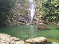 -鼎湖山风景区
