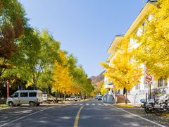 -洛阳白云山景区