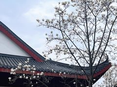 -堤角公园
