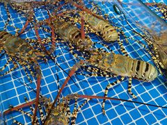 -三亚火车头万人海鲜广场