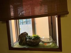 -五观堂素食(新华路店)