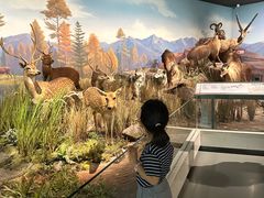 -陕西自然博物馆