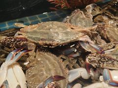 -宴立方海鲜自助(义乌万达广场店)