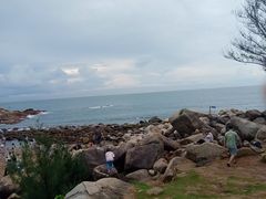 -广东惠东海龟国家级自然保护区
