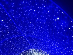 -杭州湾海上花田景区