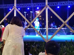 -渔家火锅·海鲜自助餐·演艺(亚龙湾天域酒店)