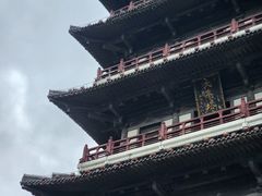 -宜兴龙背山森林公园
