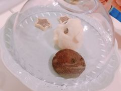 -三花喵·撸猫购宠·宠物生活馆(虹桥南丰城店)