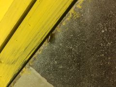 -阿明烧烤(石牌东路店)