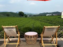 -龙坞茶村