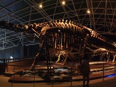 -世界恐龙谷景区