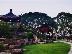 -江心屿景区