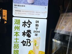 -猫的魔法密林(衣裳街店)