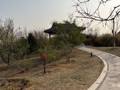 -水西公园