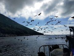 -南麂列岛