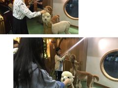 -藦茜花园宠物主题亲子互动体验馆(国顺东路店)